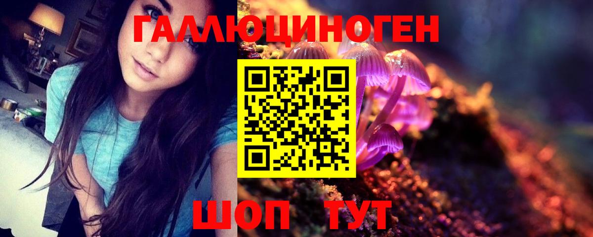 Псилоцибиновые грибы Cubensis Обь