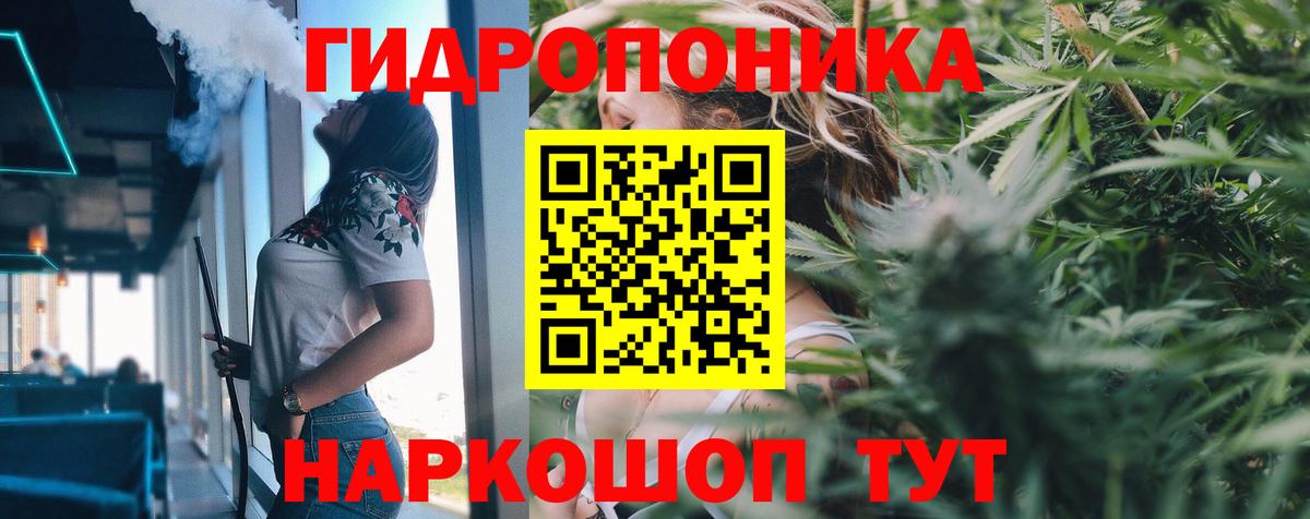 МАРИХУАНА сатива Обь